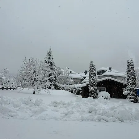 Pension Monika, Bed & Breakfast, Kitzsteinhorn Views