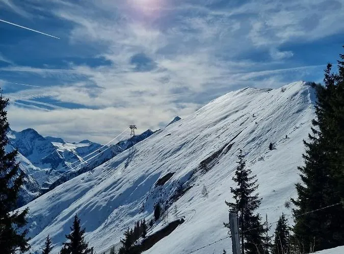 Monika, Summercard Included