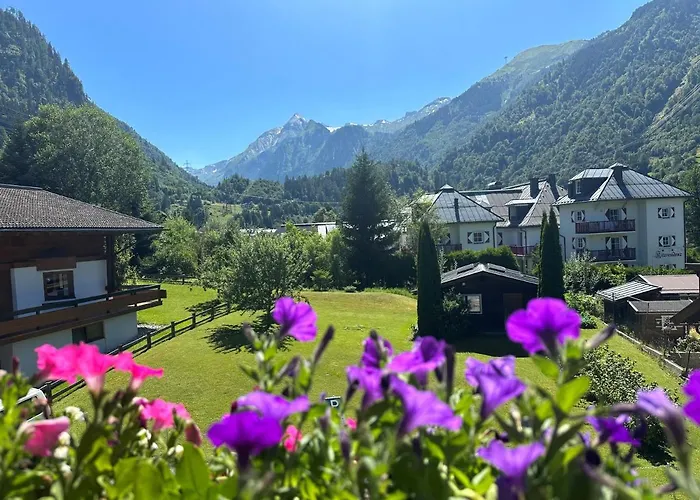 Monika, Summercard Included 3*