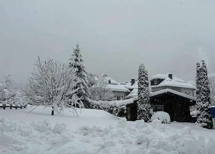 Monika, Summercard Included